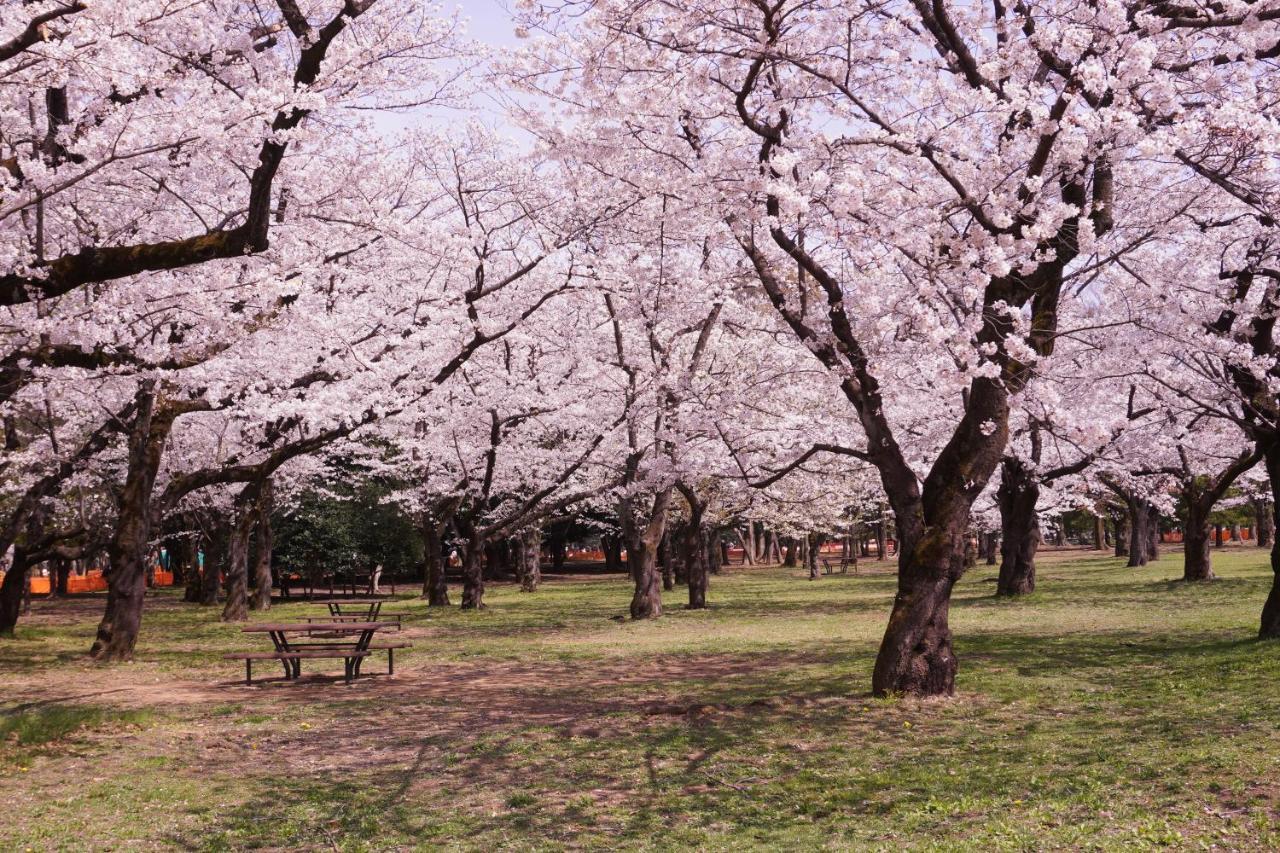 شقة 渋谷 広め50M2 2Ldk 代々木公園駅徒歩5分 家族におすすめ طوكيو المظهر الخارجي الصورة